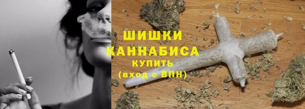 дживик Верхний Тагил