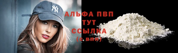 дживик Верхний Тагил