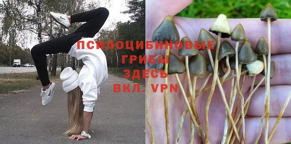 мяу мяу мука Бородино
