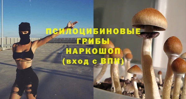 ALPHA-PVP Бугульма